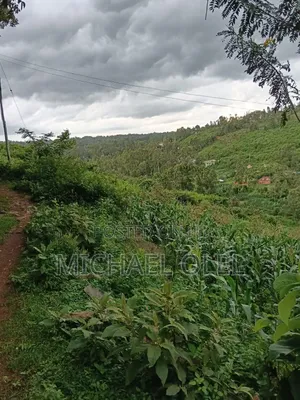 Commercial Plot for Sale!