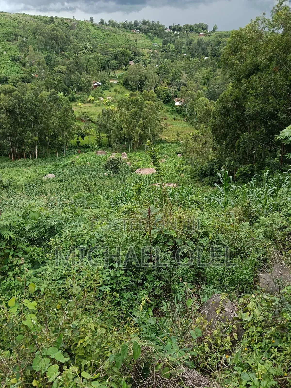 Commercial Plot for Sale!