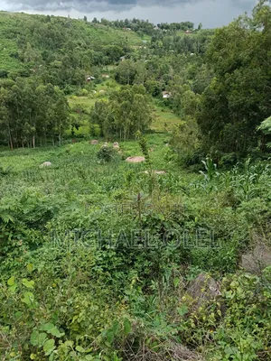 Commercial Plot for Sale!