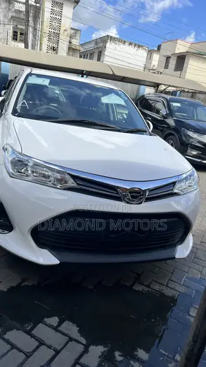 Toyota Corolla Fielder 2019 Pearl