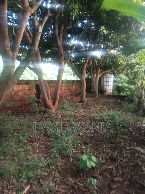 4bdrm Bungalow in Kiine for sale