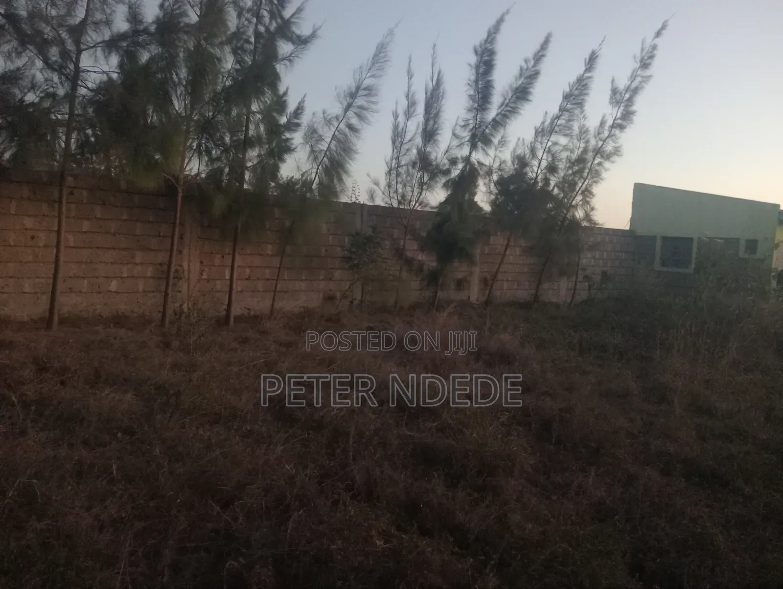 House and Plot on Sale