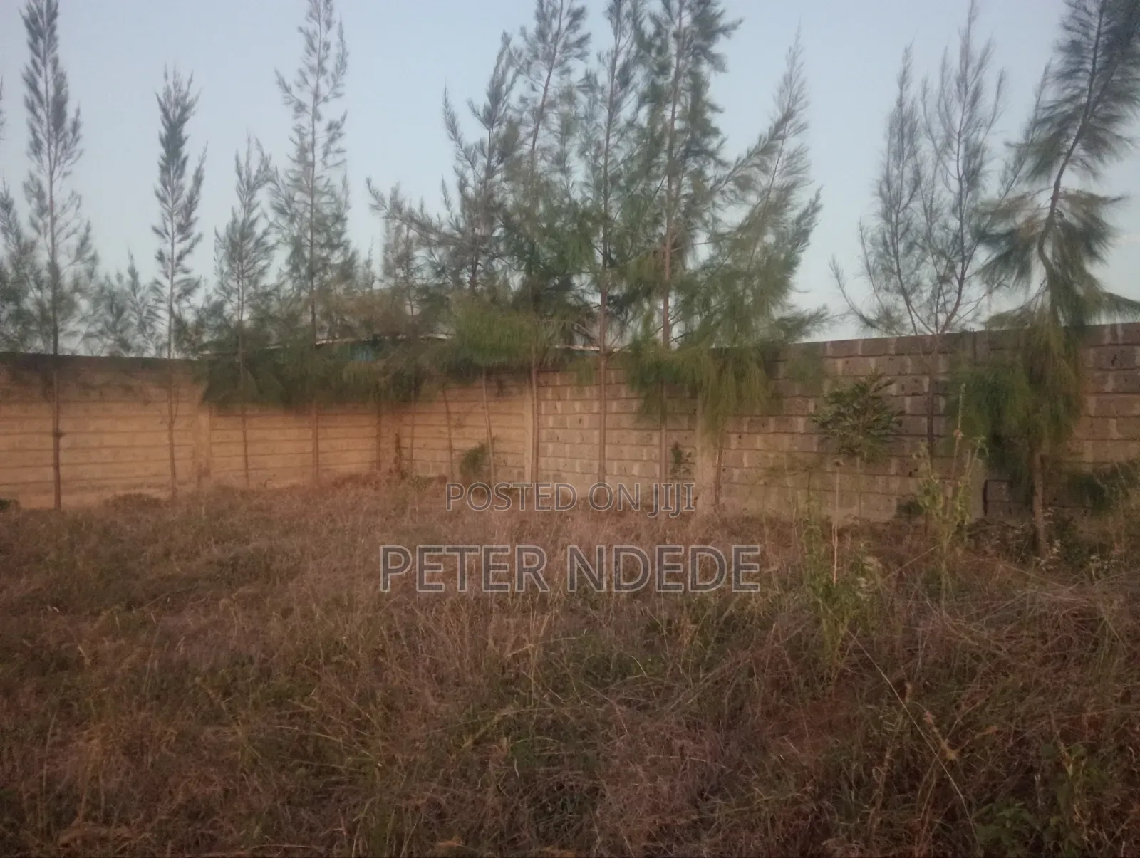 House and Plot on Sale