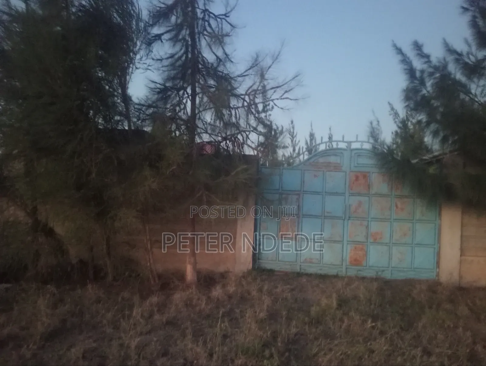 House and Plot on Sale
