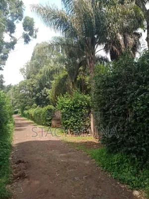 50x100 Prime Kanyariri Plot– Perfect for Rental Units or Family Home