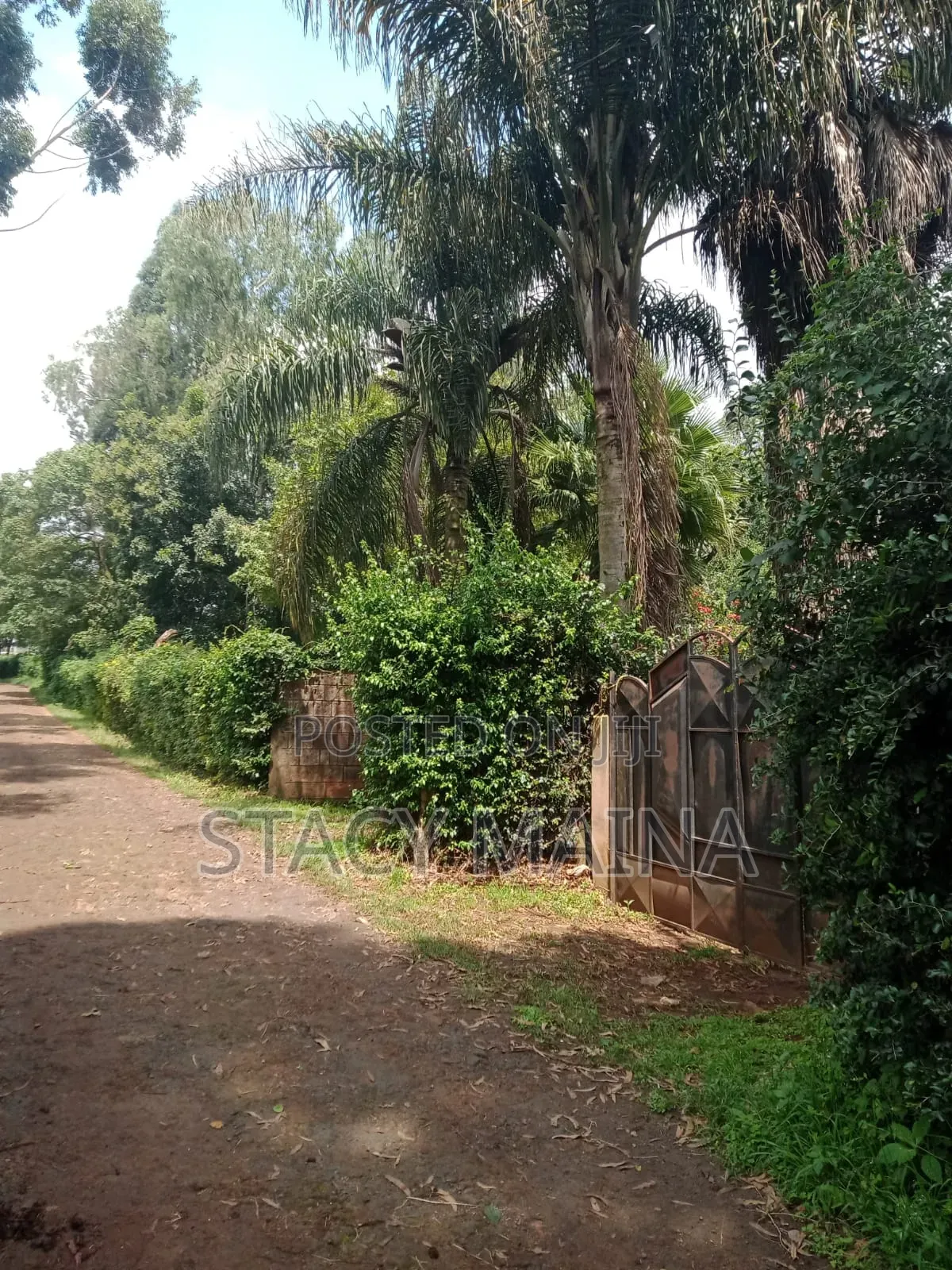 50x100 Prime Kanyariri Plot– Perfect for Rental Units or Family Home