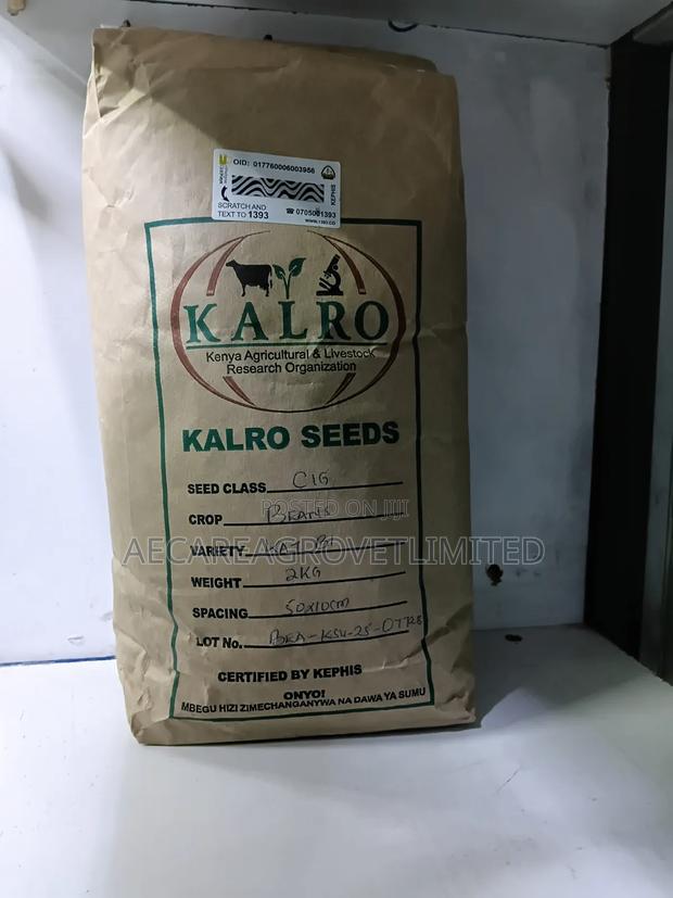 Yellow Beans Seeds 2kgs - thumbnail 2