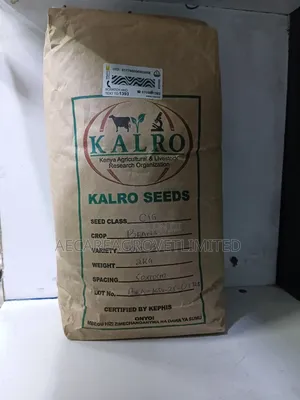 Yellow Beans Seeds 2kgs