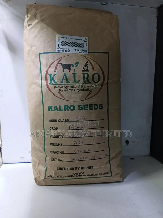 Yellow Beans Seeds 2kgs - thumbnail 3