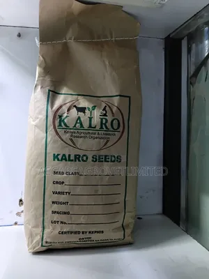 Yellow Beans Seeds 2kgs