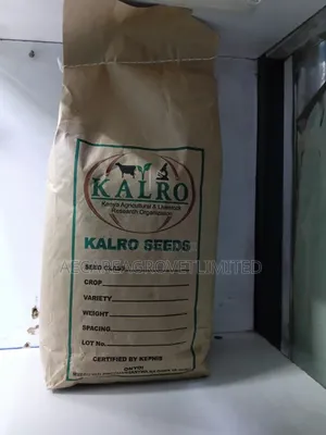 Yellow Beans Seeds 2kgs
