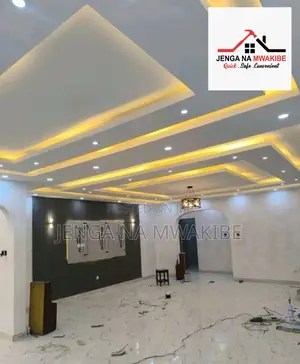 Down Lights And Snake Light Interior Gypsum Lighting