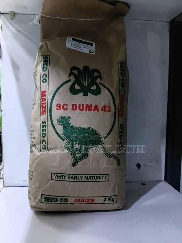 Maize Seeds Sc Duma 43. 2kgs Early Mayuring