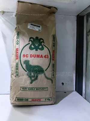 Maize Seeds Sc Duma 43. 2kgs Early Mayuring