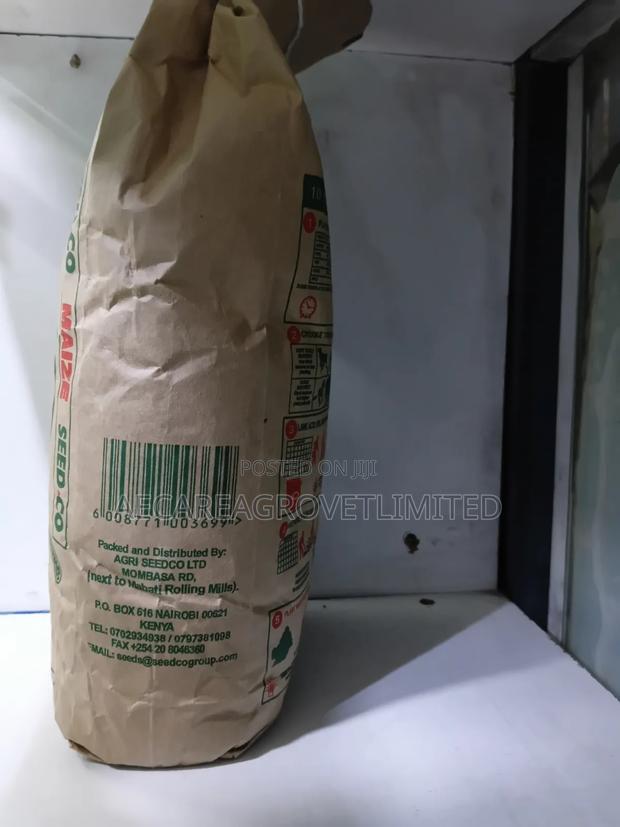 Maize Seeds Sc Duma 43. 2kgs Early Mayuring - thumbnail 5