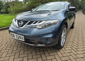 Nissan Murano 2014 Blue