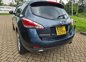 Nissan Murano 2014 Blue