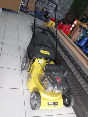 4hp Wasp Lawn Mower