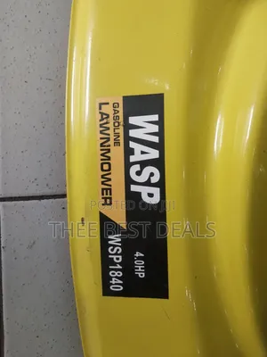4hp Wasp Lawn Mower