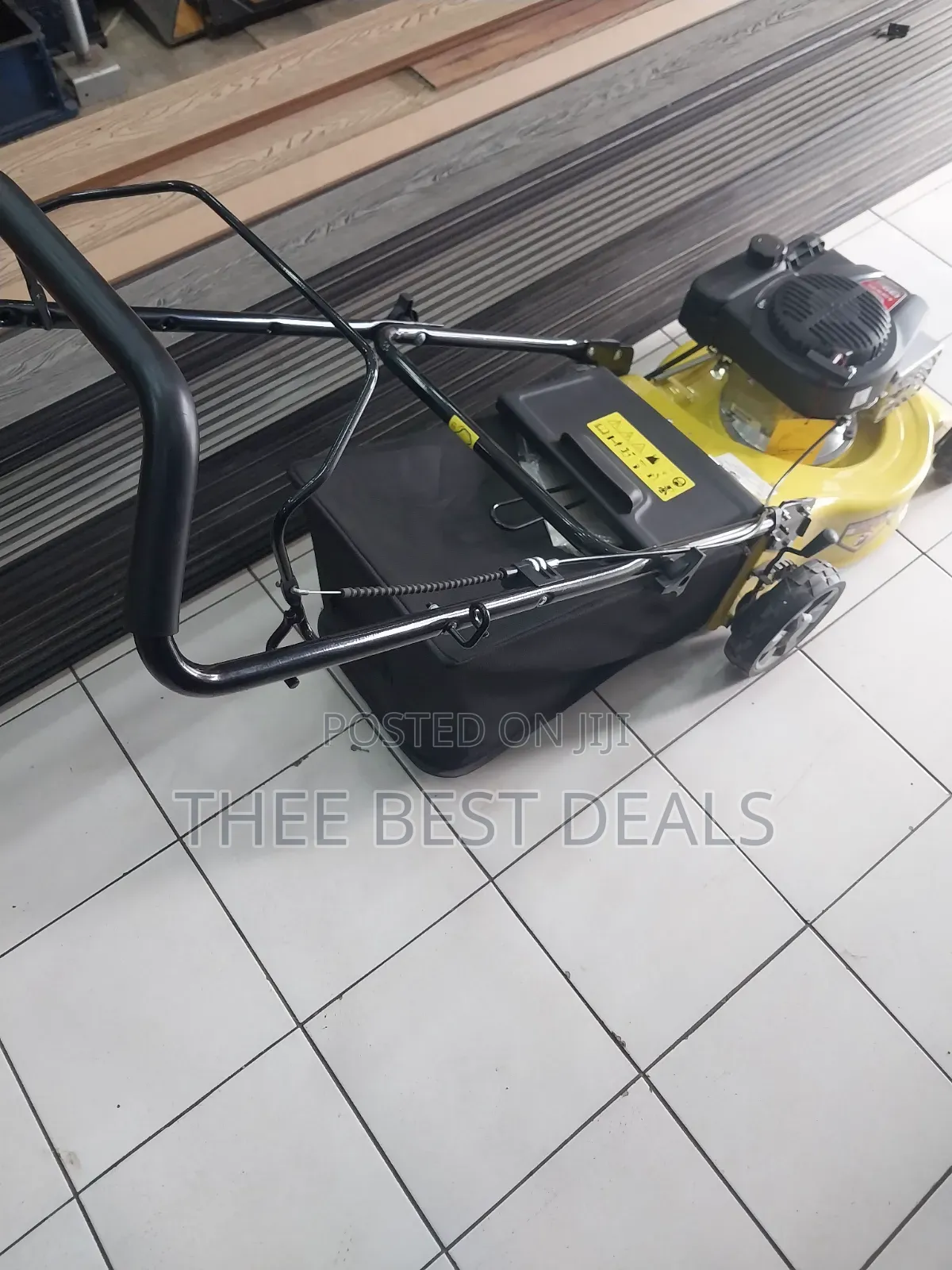 4hp Wasp Lawn Mower