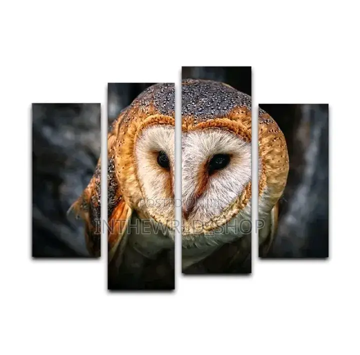 4-Part Owl Art