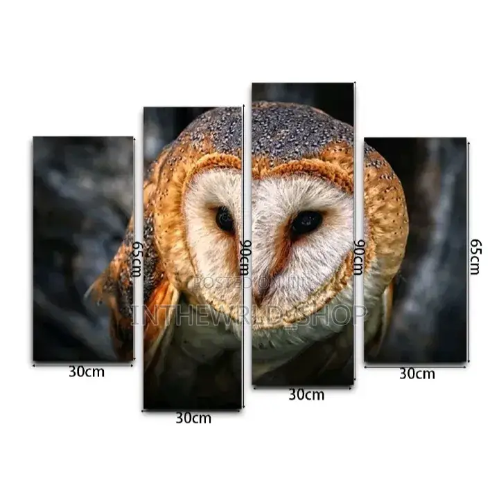 4-Part Owl Art