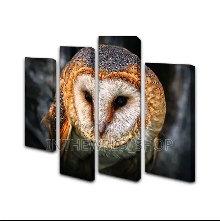4-Part Owl Art