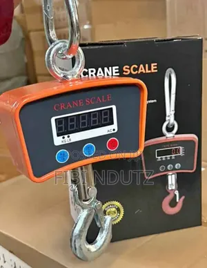 Hanging Weighing Scale of 500kg/500kg Hanging Scale