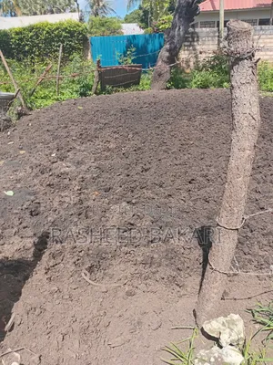 Manure for Sell Cow Dung