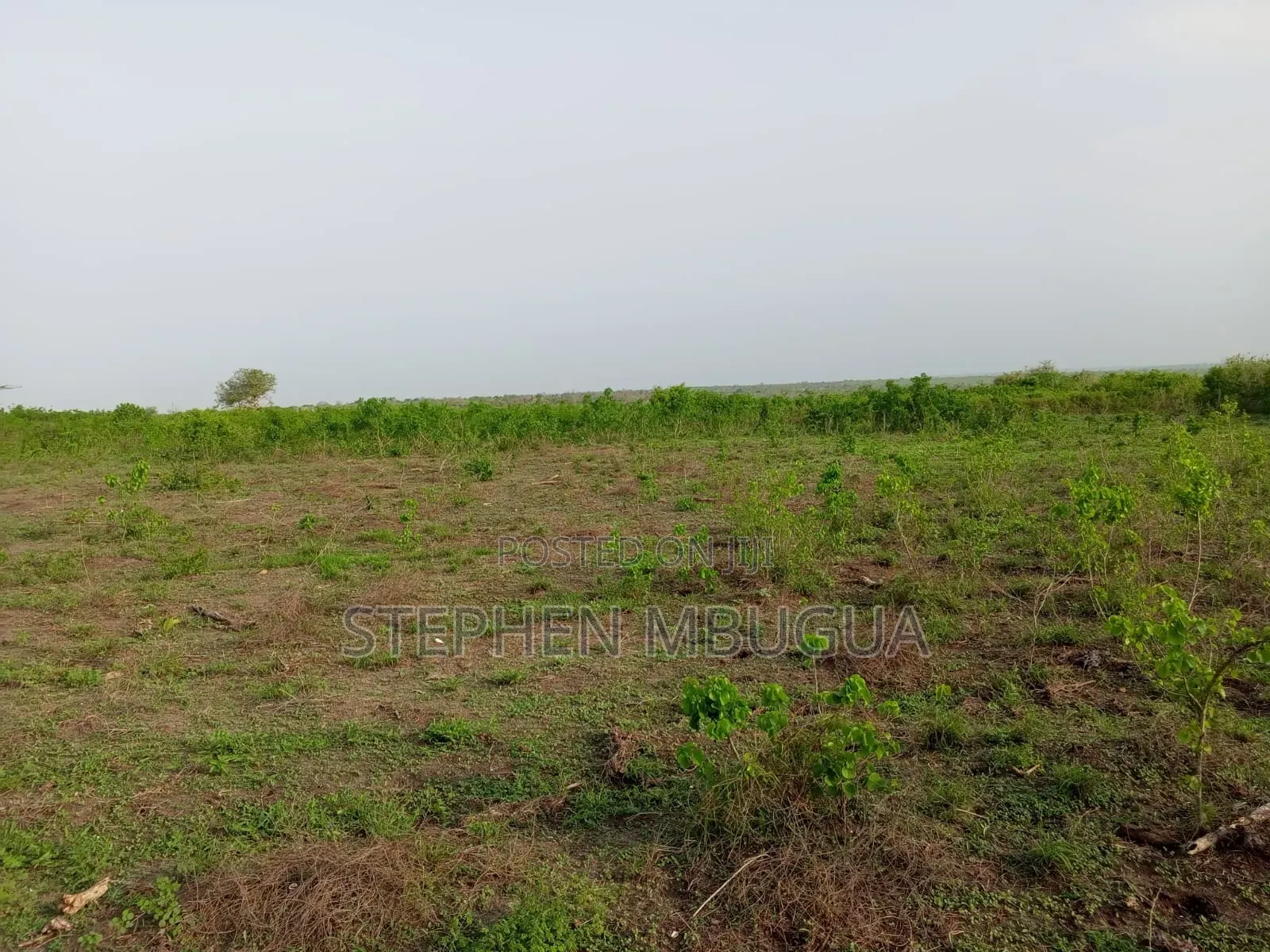 30 Farming Acres in Malindi-Ksh4.5million(Per Block)7blocks Available