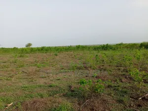 30 Farming Acres in Malindi-Ksh4.5million(Per Block)7blocks Available