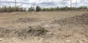 Katani Plots 1/4acre Forsale