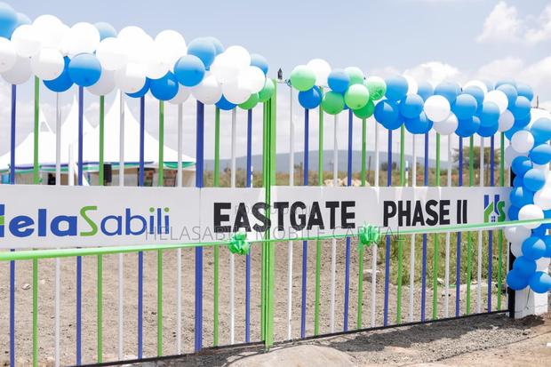Eastgate Project Nakuru - thumbnail 8