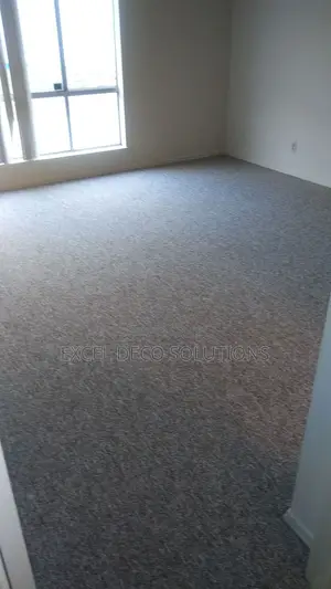 Delta Wall to Wall Carpet – Stylish Flooring for Every Space