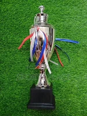Award Trophy - Silver
