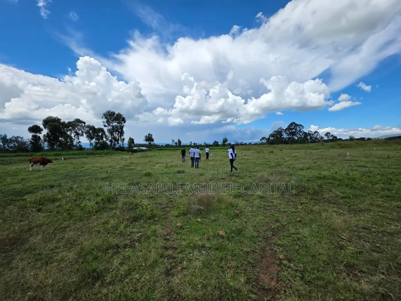 Project Oldubei Nakuru