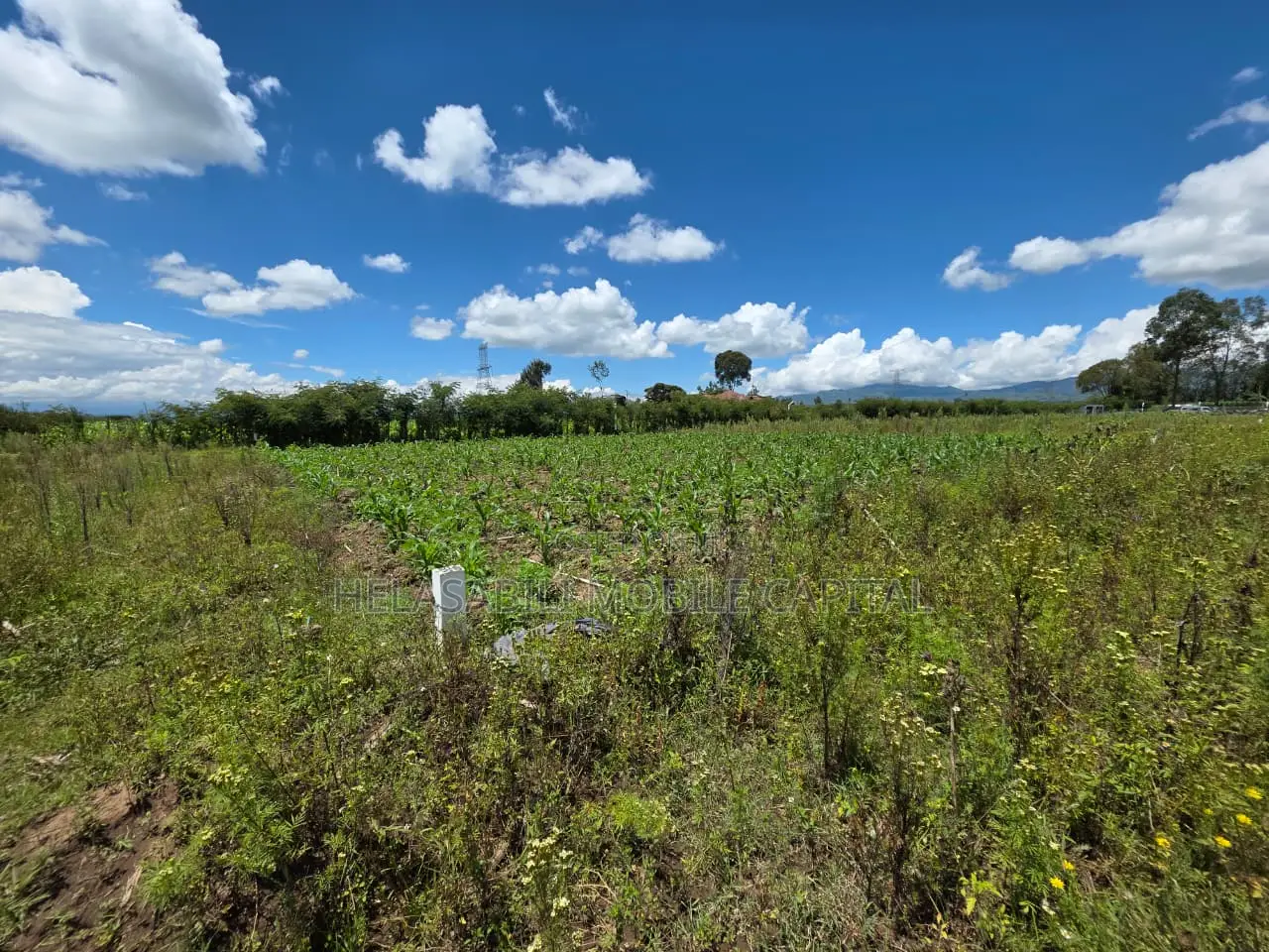 Project Oldubei Nakuru