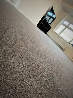 Delta Wall to Wall Carpet for Warm Stylish Interiors