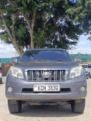 Toyota Land Cruiser Prado 2010 Gray