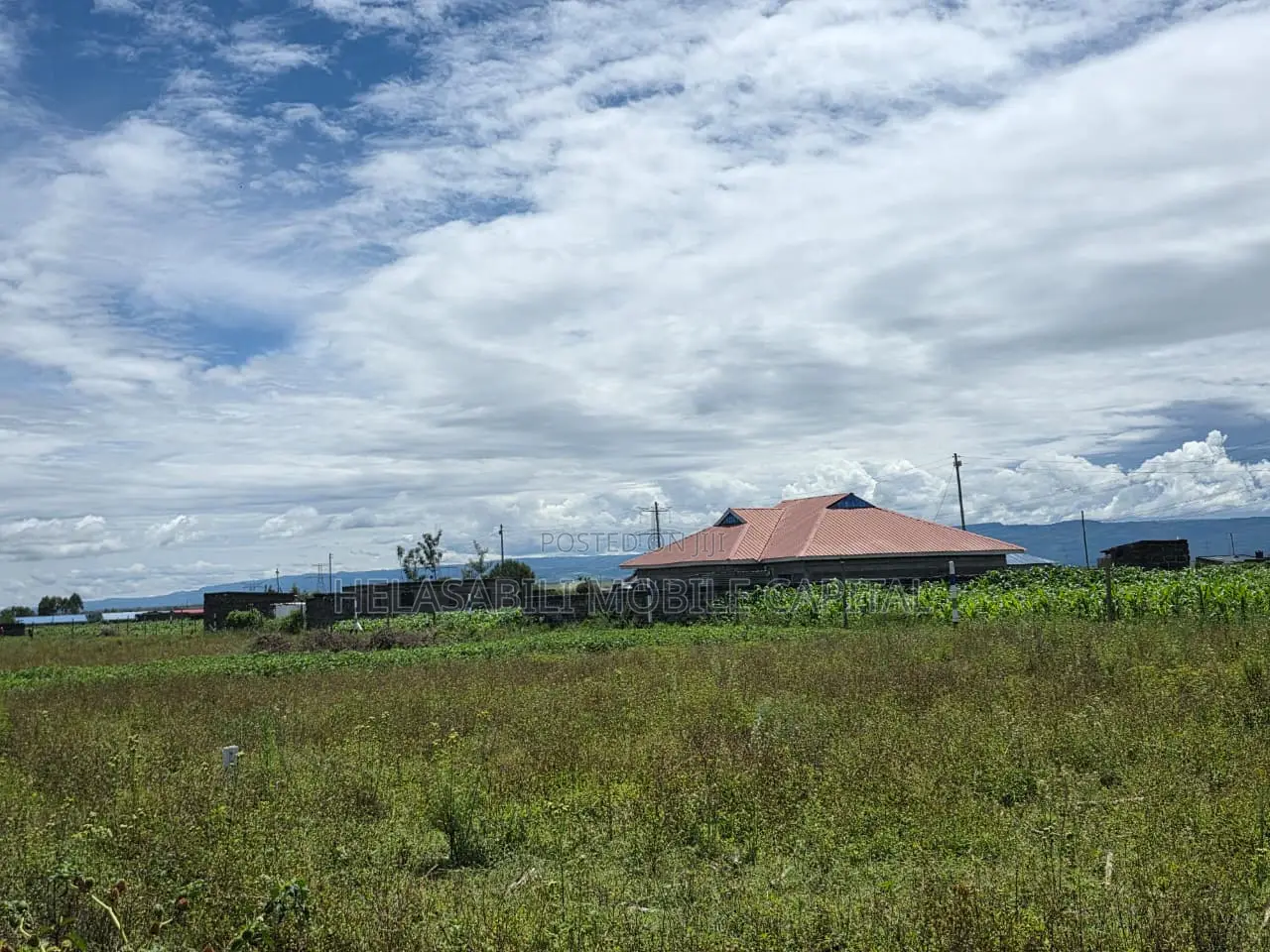 Project Mang'u