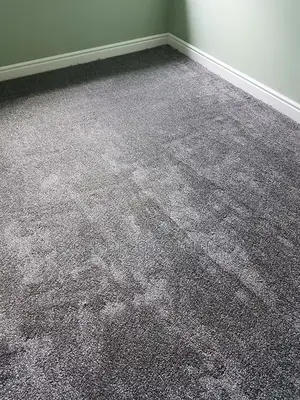 Delta Wall to Wall Carpet – Comfortable Flooring With Elegant Finish