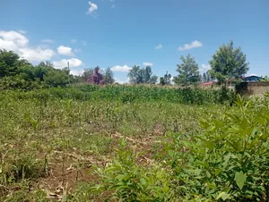 1/4 Acre of Land for Sale in Kiaga