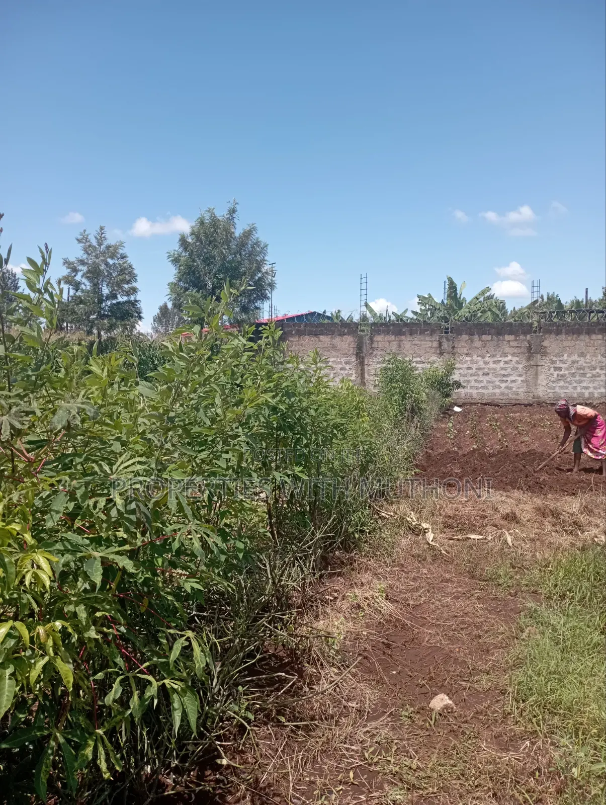 1/4 Acre of Land for Sale in Kiaga