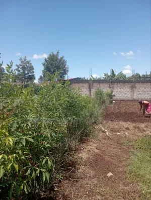 1/4 Acre of Land for Sale in Kiaga