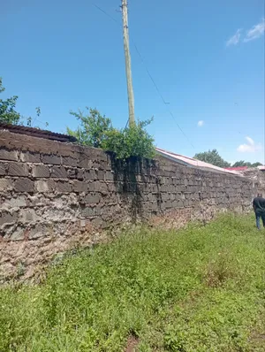1/4 Acre of Land for Sale in Kiaga