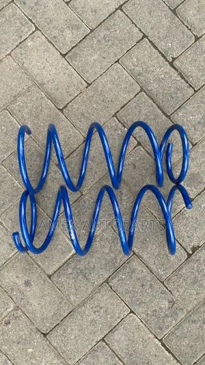 Front Coil Spring Subaru Forester Sf5