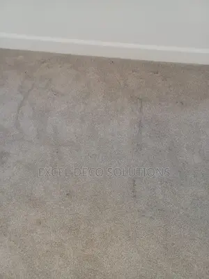 Delta Wall to Wall Carpet for Modern Homes Offices
