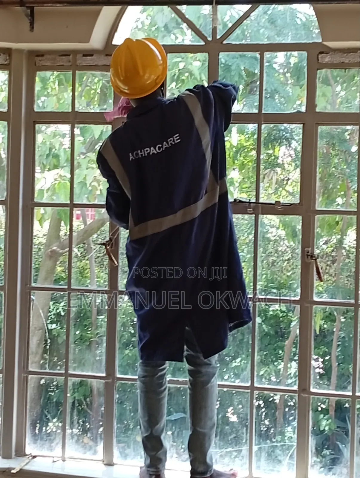 Bedbugs And Cockroach Eradication