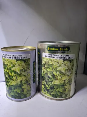 Pasture Legume Desmodium Green Leaf 100g, 250g, 500g, 1kg