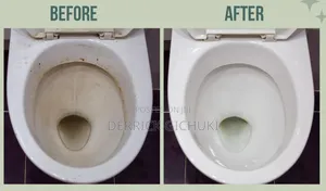 Cleaning Services
